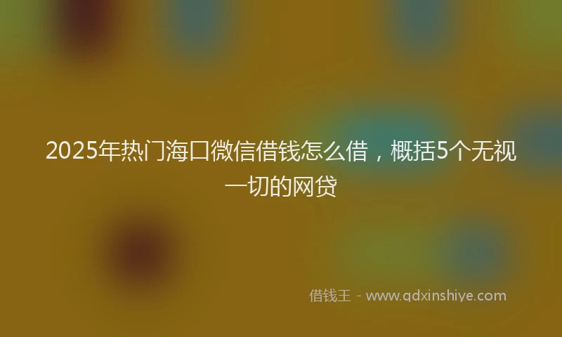 2025年热门海口微信借钱怎么借，概括5个无视一切的网贷