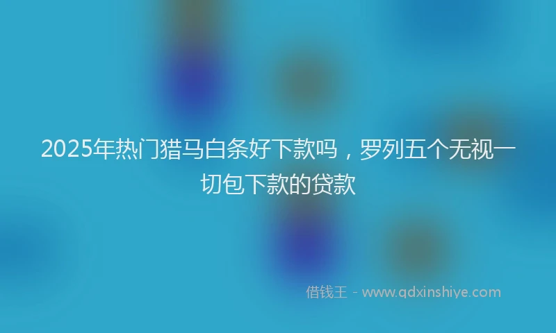 2025年热门猎马白条好下款吗，罗列五个无视一切包下款的贷款