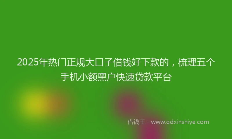 2025年热门正规大口子借钱好下款的，梳理五个手机小额黑户快速贷款平台