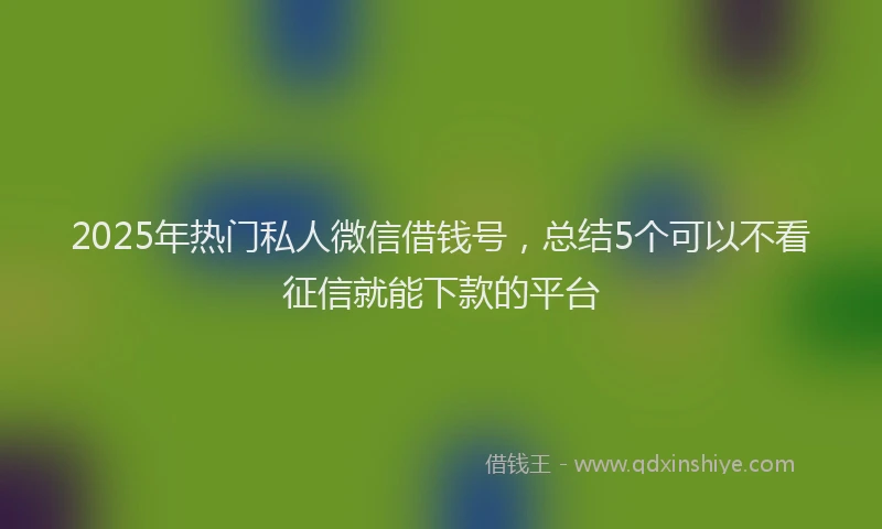 2025年热门私人微信借钱号，总结5个可以不看征信就能下款的平台