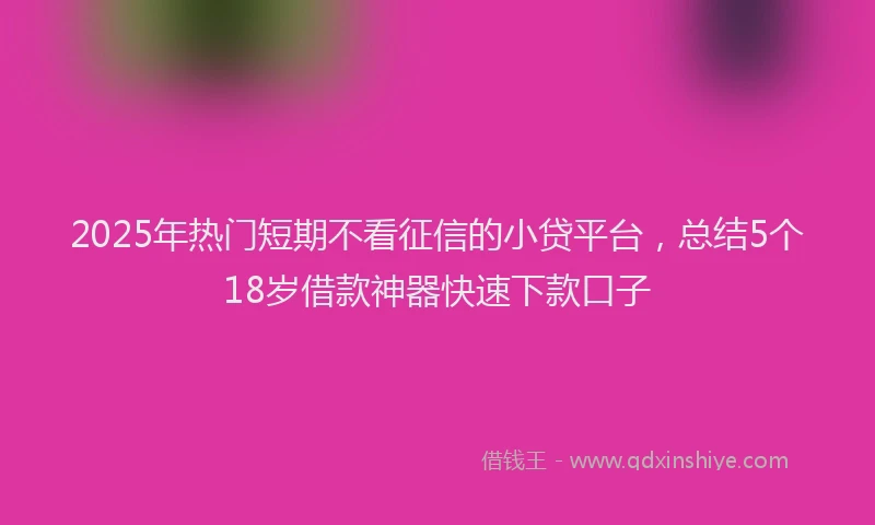 2025年热门短期不看征信的小贷平台，总结5个18岁借款神器快速下款口子