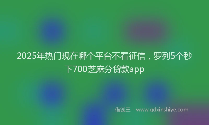 2025年热门现在哪个平台不看征信，罗列5个秒下700芝麻分贷款app
