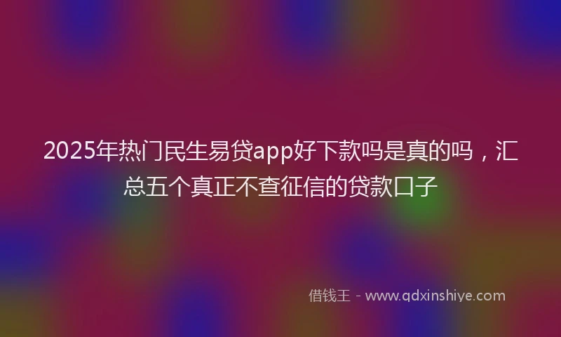 2025年热门民生易贷app好下款吗是真的吗，汇总五个真正不查征信的贷款口子