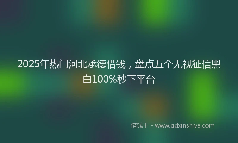 2025年热门河北承德借钱，盘点五个无视征信黑白100%秒下平台