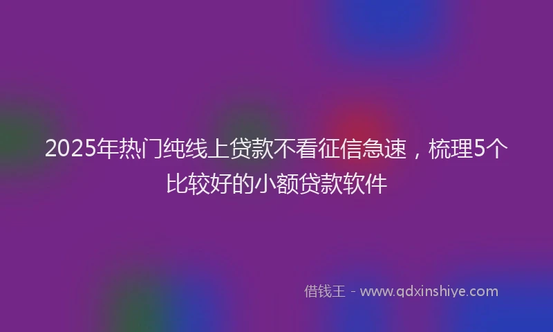 2025年热门纯线上贷款不看征信急速，梳理5个比较好的小额贷款软件