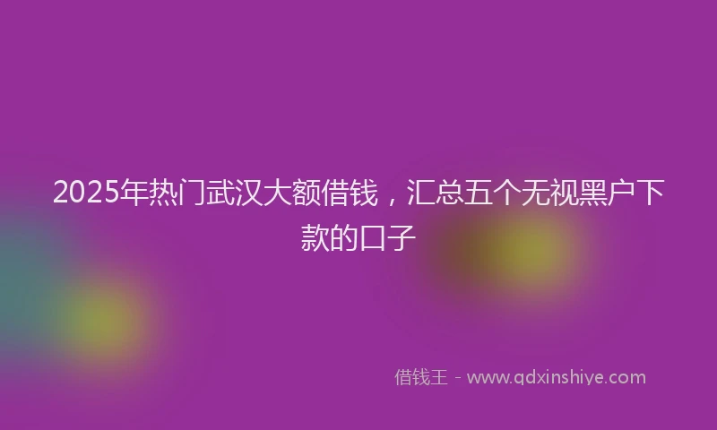 2025年热门武汉大额借钱，汇总五个无视黑户下款的口子