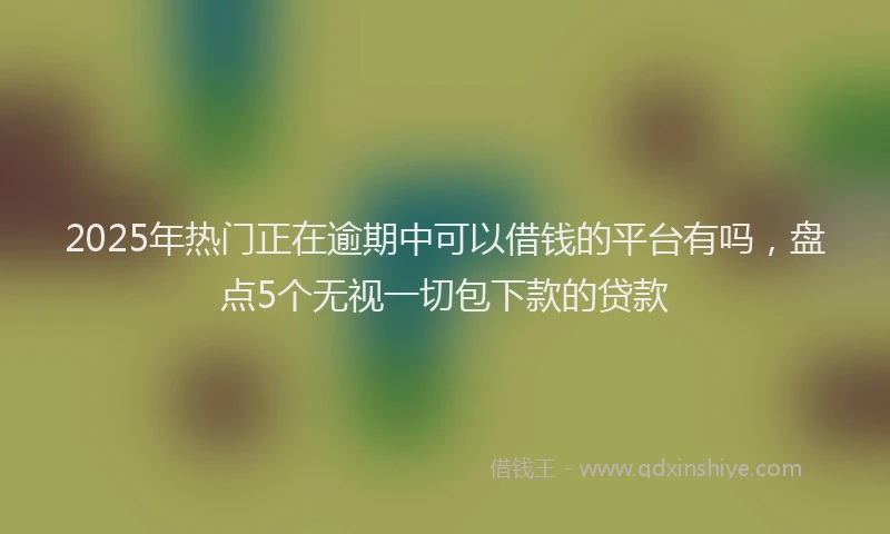 2025年热门正在逾期中可以借钱的平台有吗，盘点5个无视一切包下款的贷款