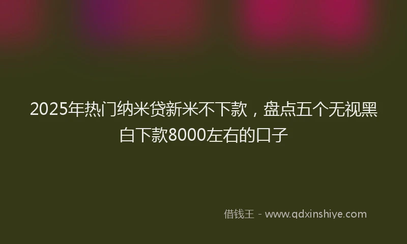 2025年热门纳米贷新米不下款，盘点五个无视黑白下款8000左右的口子