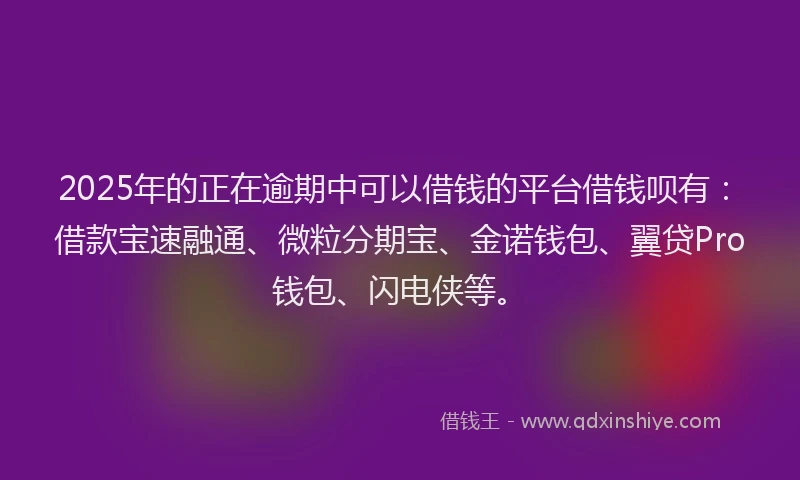 2025年的正在逾期中可以借钱的平台借钱呗有：借款宝速融通、微粒分期宝、金诺钱包、翼贷Pro钱包、闪电侠等。