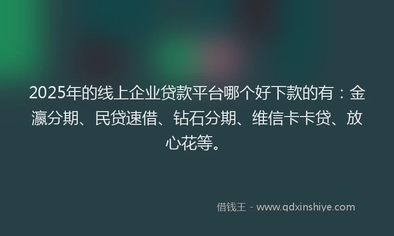 2025年的线上企业贷款平台哪个好下款的有：金瀛分期、民贷速借、钻石分期、维信卡卡贷、放心花等。