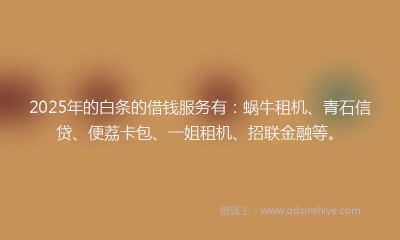 2025年的白条的借钱服务有：蜗牛租机、青石信贷、便荔卡包、一姐租机、招联金融等。