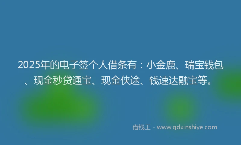 2025年的电子签个人借条有：小金鹿、瑞宝钱包、现金秒贷通宝、现金侠途、钱速达融宝等。