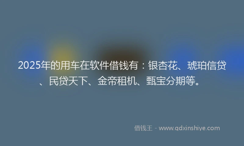 2025年的用车在软件借钱有：银杏花、琥珀信贷、民贷天下、金帝租机、甄宝分期等。