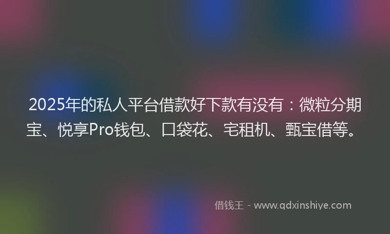 2025年的私人平台借款好下款有没有：微粒分期宝、悦享Pro钱包、口袋花、宅租机、甄宝借等。