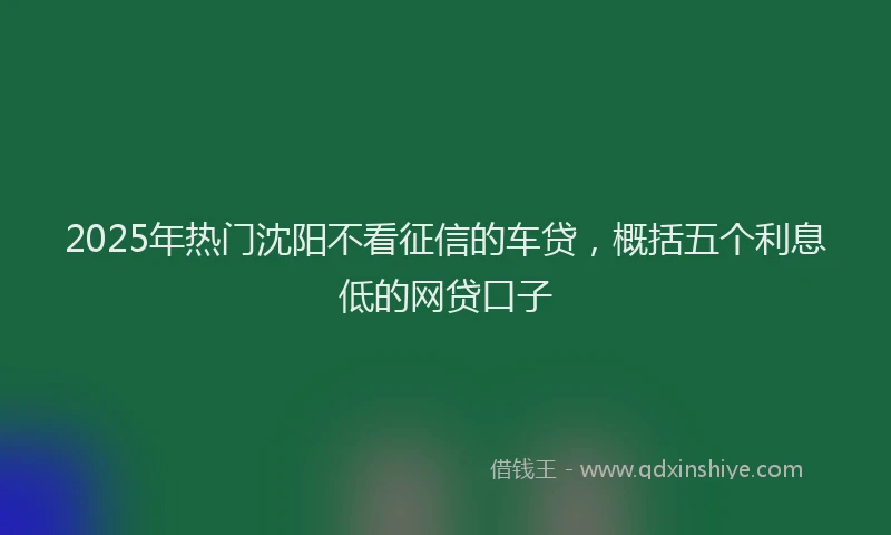 2025年热门沈阳不看征信的车贷，概括五个利息低的网贷口子