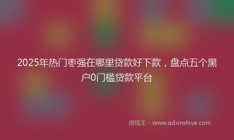 2025年热门枣强在哪里贷款好下款，盘点五个黑户0门槛贷款平台