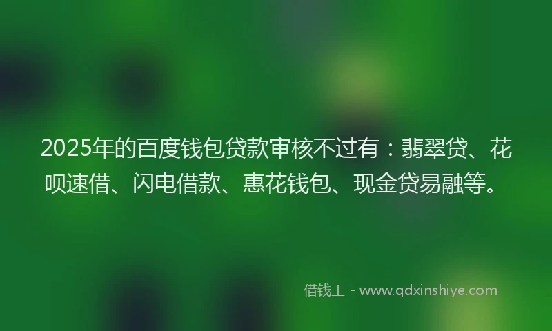 2025年的百度钱包贷款审核不过有：翡翠贷、花呗速借、闪电借款、惠花钱包、现金贷易融等。