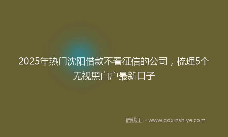 2025年热门沈阳借款不看征信的公司，梳理5个无视黑白户最新口子
