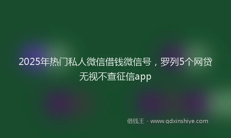 2025年热门私人微信借钱微信号，罗列5个网贷无视不查征信app