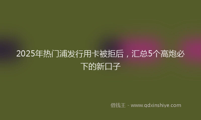 2025年热门浦发行用卡被拒后，汇总5个高炮必下的新口子