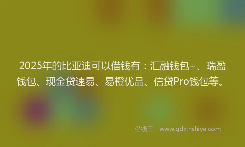 2025年的比亚迪可以借钱有：汇融钱包+、瑞盈钱包、现金贷速易、易橙优品、信贷Pro钱包等。