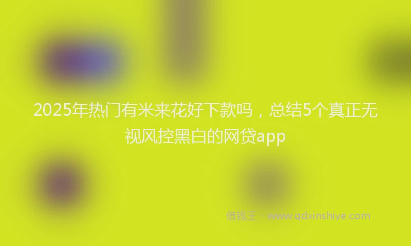 2025年热门有米来花好下款吗，总结5个真正无视风控黑白的网贷app