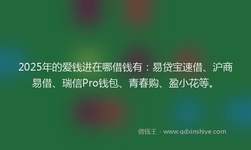2025年的爱钱进在哪借钱有：易贷宝速借、沪商易借、瑞信Pro钱包、青春购、盈小花等。