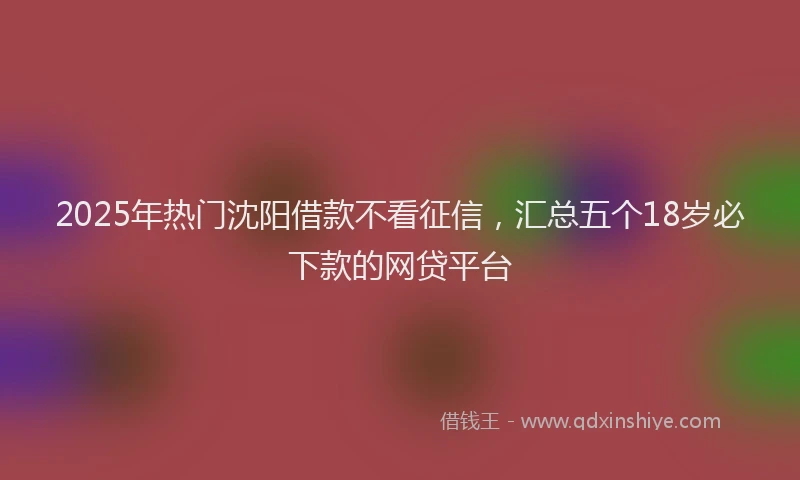 2025年热门沈阳借款不看征信，汇总五个18岁必下款的网贷平台