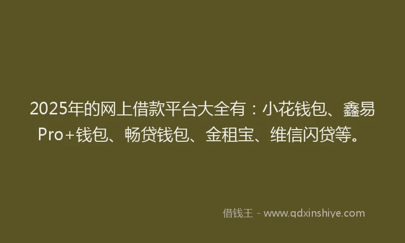 2025年的网上借款平台大全有：小花钱包、鑫易Pro+钱包、畅贷钱包、金租宝、维信闪贷等。