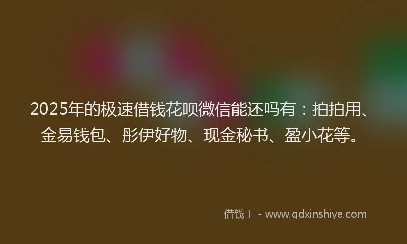 2025年的极速借钱花呗微信能还吗有：拍拍用、金易钱包、彤伊好物、现金秘书、盈小花等。