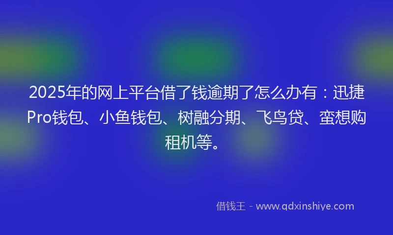 2025年的网上平台借了钱逾期了怎么办有：迅捷Pro钱包、小鱼钱包、树融分期、飞鸟贷、蛮想购租机等。