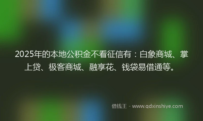 2025年的本地公积金不看征信有：白象商城、掌上贷、极客商城、融享花、钱袋易借通等。