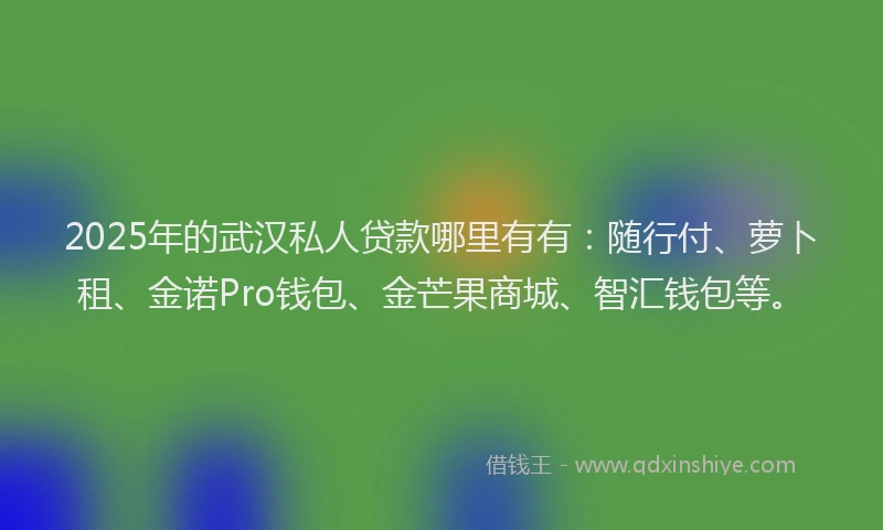 2025年的武汉私人贷款哪里有有：随行付、萝卜租、金诺Pro钱包、金芒果商城、智汇钱包等。