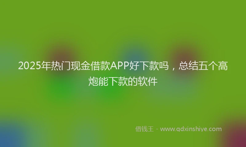 2025年热门现金借款APP好下款吗，总结五个高炮能下款的软件