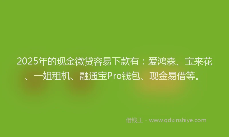 2025年的现金微贷容易下款有：爱鸿森、宝来花、一姐租机、融通宝Pro钱包、现金易借等。