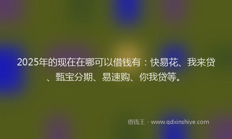 2025年的现在在哪可以借钱有：快易花、我来贷、甄宝分期、易速购、你我贷等。