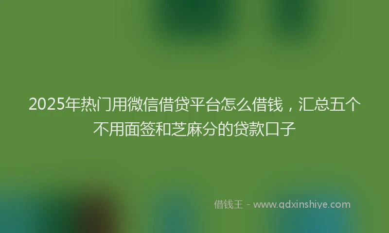2025年热门用微信借贷平台怎么借钱，汇总五个不用面签和芝麻分的贷款口子