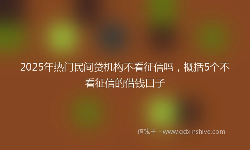 2025年热门民间贷机构不看征信吗，概括5个不看征信的借钱口子