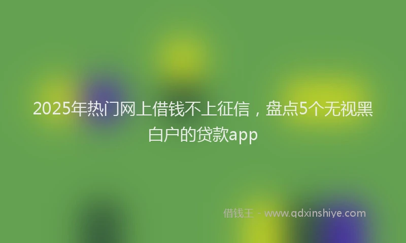 2025年热门网上借钱不上征信，盘点5个无视黑白户的贷款app
