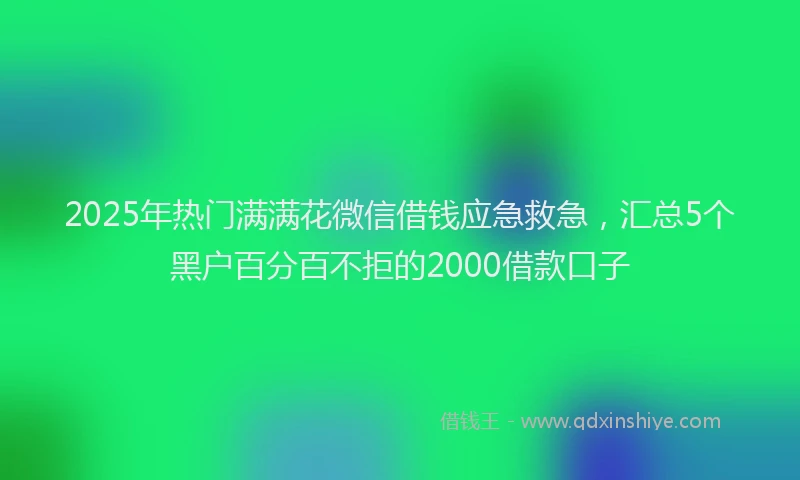 2025年热门满满花微信借钱应急救急，汇总5个黑户百分百不拒的2000借款口子