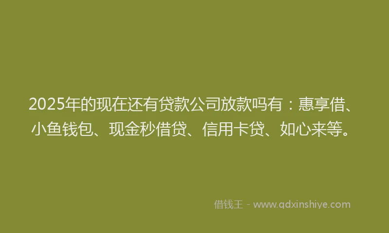 2025年的现在还有贷款公司放款吗有：惠享借、小鱼钱包、现金秒借贷、信用卡贷、如心来等。