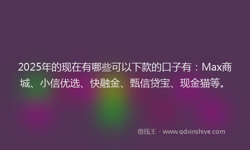 2025年的现在有哪些可以下款的口子有：Max商城、小信优选、快融金、甄信贷宝、现金猫等。