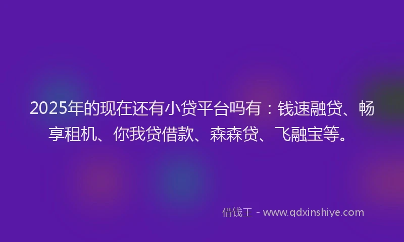 2025年的现在还有小贷平台吗有：钱速融贷、畅享租机、你我贷借款、森森贷、飞融宝等。
