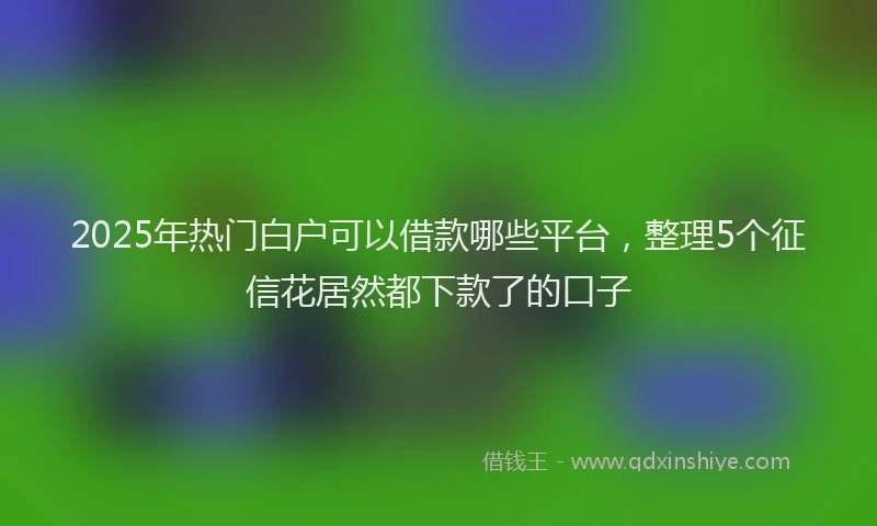 2025年热门白户可以借款哪些平台，整理5个征信花居然都下款了的口子