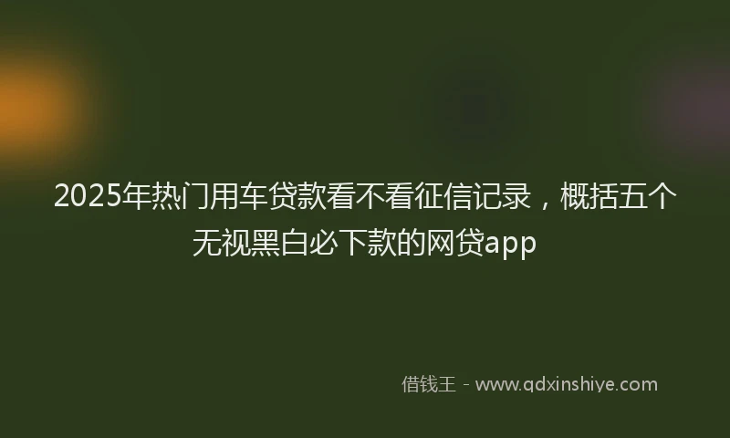 2025年热门用车贷款看不看征信记录，概括五个无视黑白必下款的网贷app