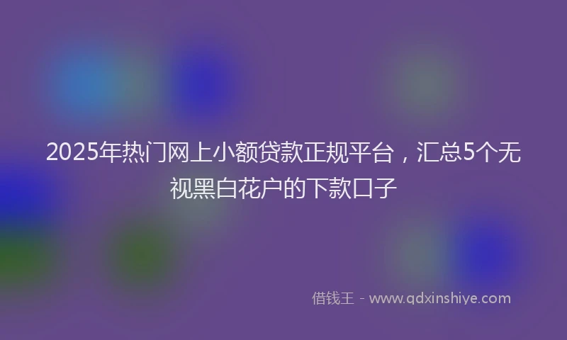2025年热门网上小额贷款正规平台，汇总5个无视黑白花户的下款口子