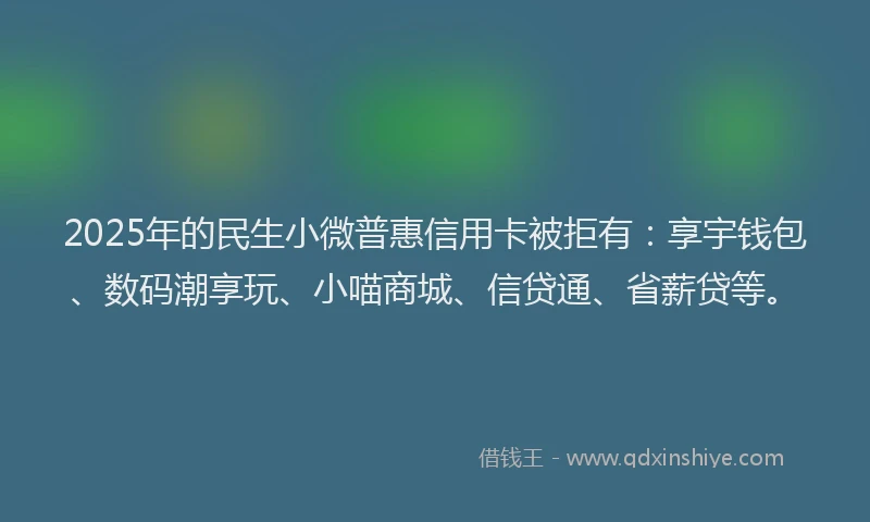 2025年的民生小微普惠信用卡被拒有：享宇钱包、数码潮享玩、小喵商城、信贷通、省薪贷等。