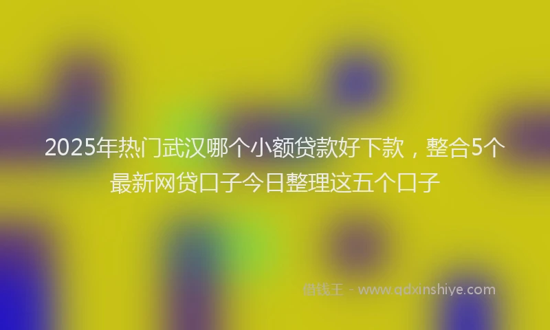 2025年热门武汉哪个小额贷款好下款，整合5个最新网贷口子今日整理这五个口子