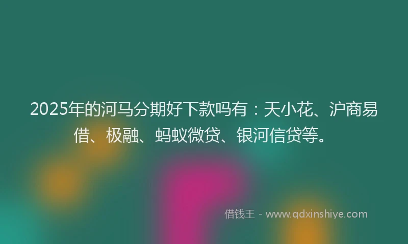 2025年的河马分期好下款吗有：天小花、沪商易借、极融、蚂蚁微贷、银河信贷等。