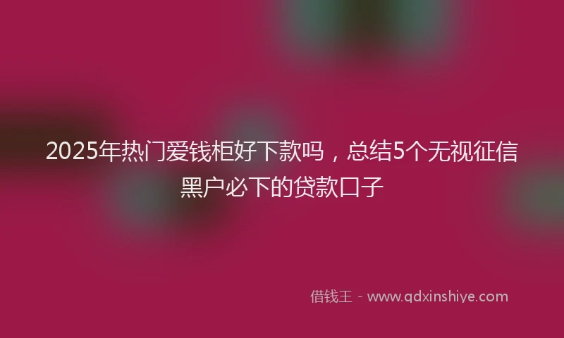 2025年热门爱钱柜好下款吗，总结5个无视征信黑户必下的贷款口子